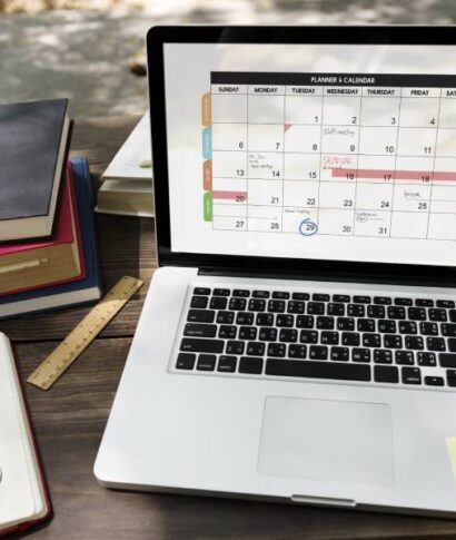 ProfessionalYearProgram